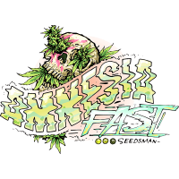 Amnesia | PHOTOFEM | Seedsman