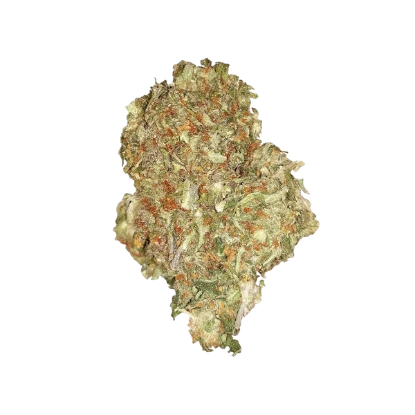 Quick One | AUTOFEM | Royal Queen Seeds - Freigestellt 2026-05-12