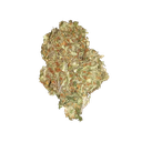 Quick One | AUTOFEM | Royal Queen Seeds - Freigestellt 2026-05-12
