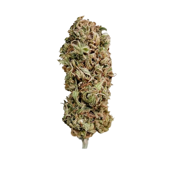 AMG (Amnesia Mac Ganja) | PHOTOFEM | Royal Queen Seeds - Freigestellt 2026-05-14