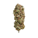 AMG (Amnesia Mac Ganja) | PHOTOFEM | Royal Queen Seeds - Freigestellt 2026-05-14