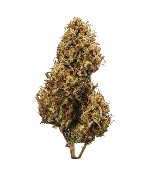 Blue Cheese | AUTOFEM | Royal Queen Seeds - Freigestellt 2026-05-19