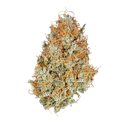 Amnesia Haze | AUTOFEM | Royal Queen Seeds - Freigestellt 2026-05-22