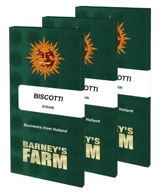 Biscotti | PHOTOFEM | Barneys Farm