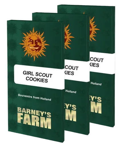 Girl Scout Cookies | PHOTOFEM | Barneys Farm