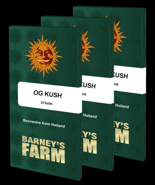 OG Kush | PHOTOFEM | Barneys Farm